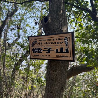 機子山| ᐕ)っ🚩 山名板に気付かずスルーするところだった😓