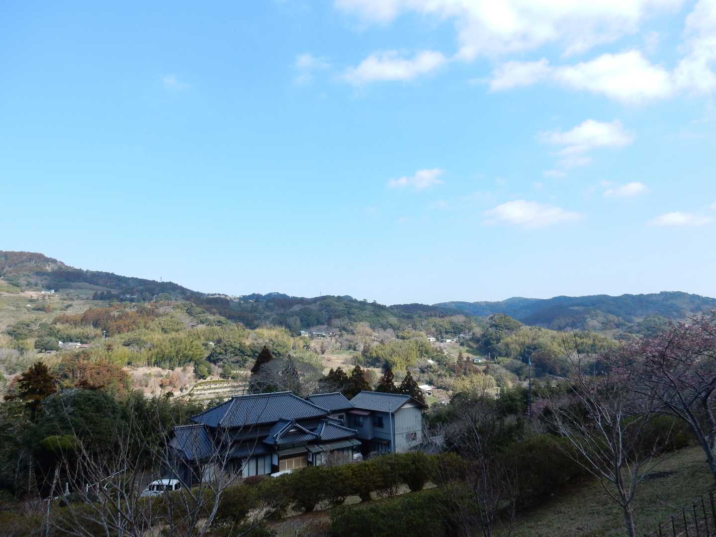 大黒様-御殿山 往復コースの写真