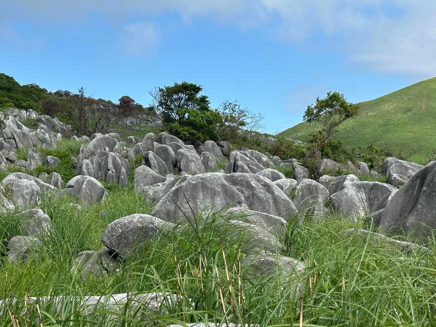 絶景✨です