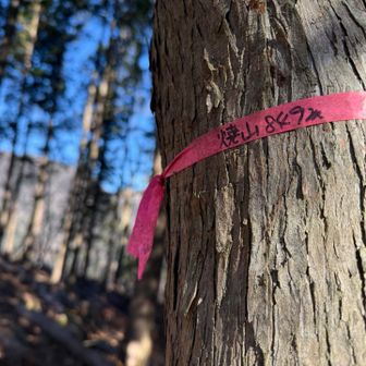 2025年
ラストは焼山〜🤣