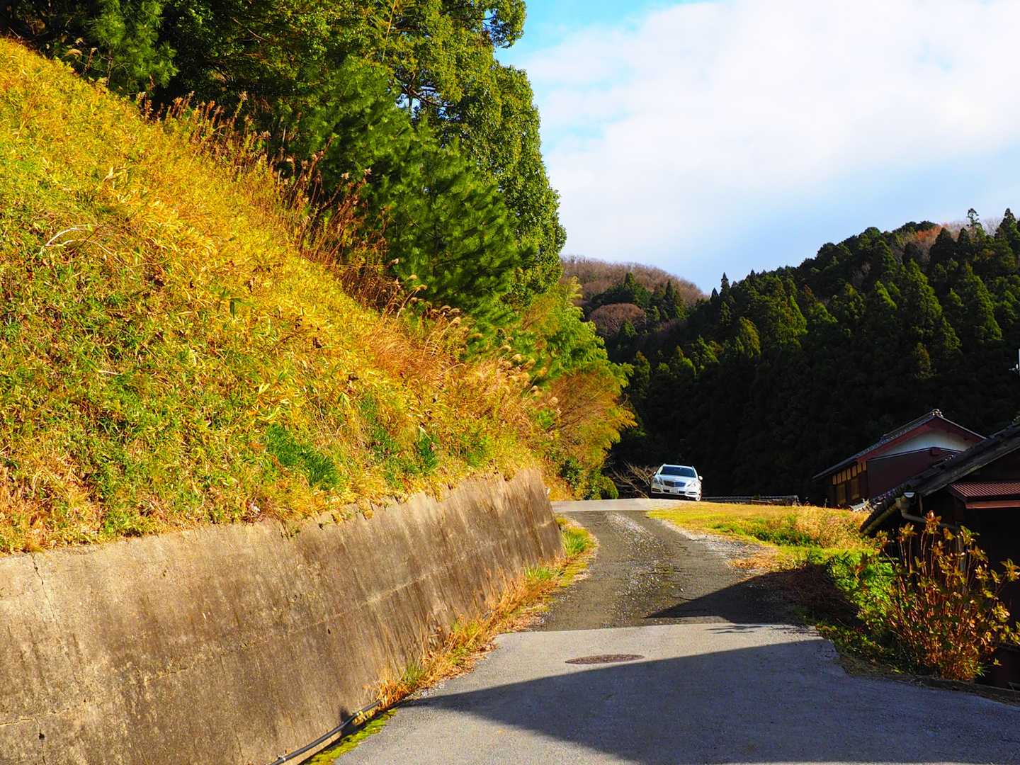 標識に従って上がると、南山登山口に至る。