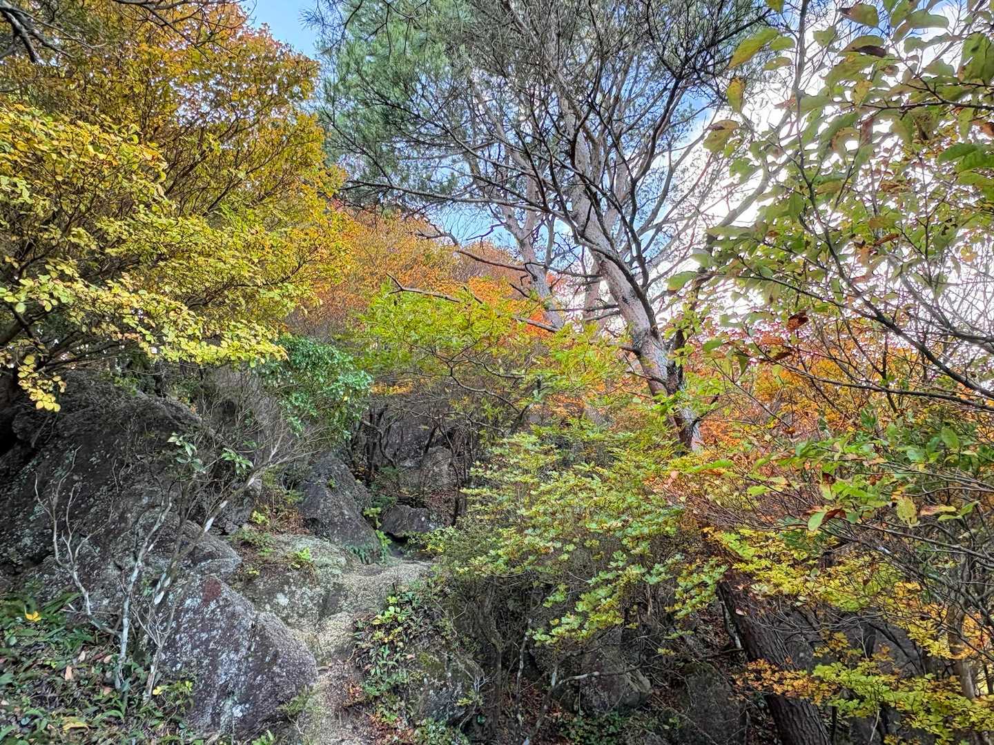 北山-岩ヶ峰-釈迦ヶ岳-仙香山-北仙香山-三池岳 周回コースの写真