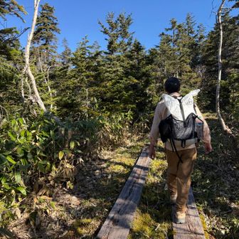 山頂は木道