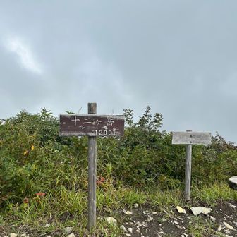 山頂✨✨