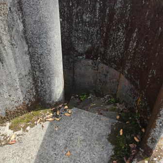 階段はこんな感じ。