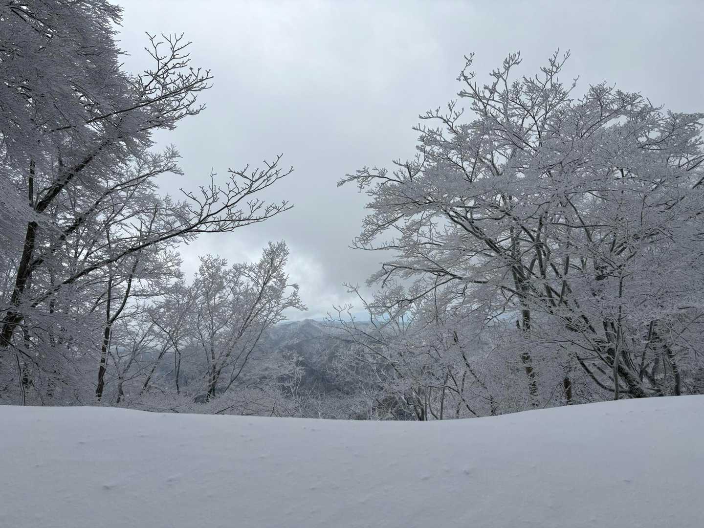 下りが長ーい

