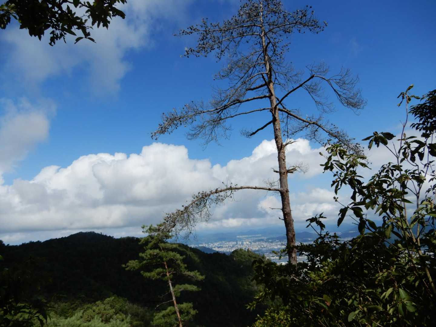 中間地点の展望岩からの眺め、9月に成ったが、まだ、真夏のような空