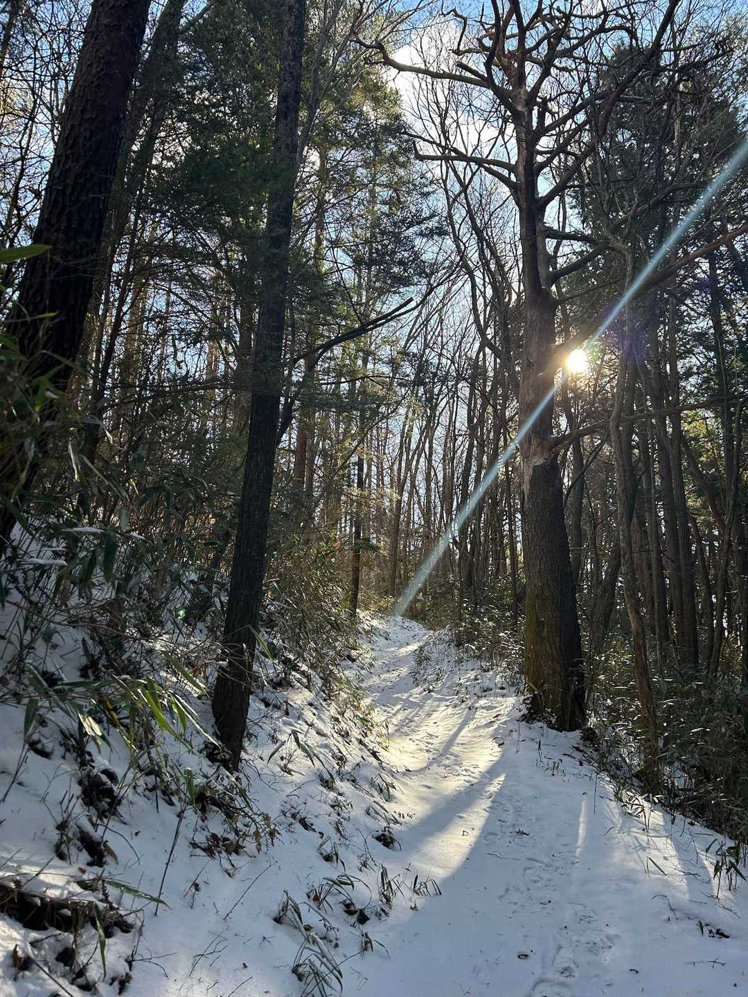 太陽きれい☀️
