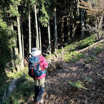 宇土浦越へ戻り、周回の下りに入る…♬