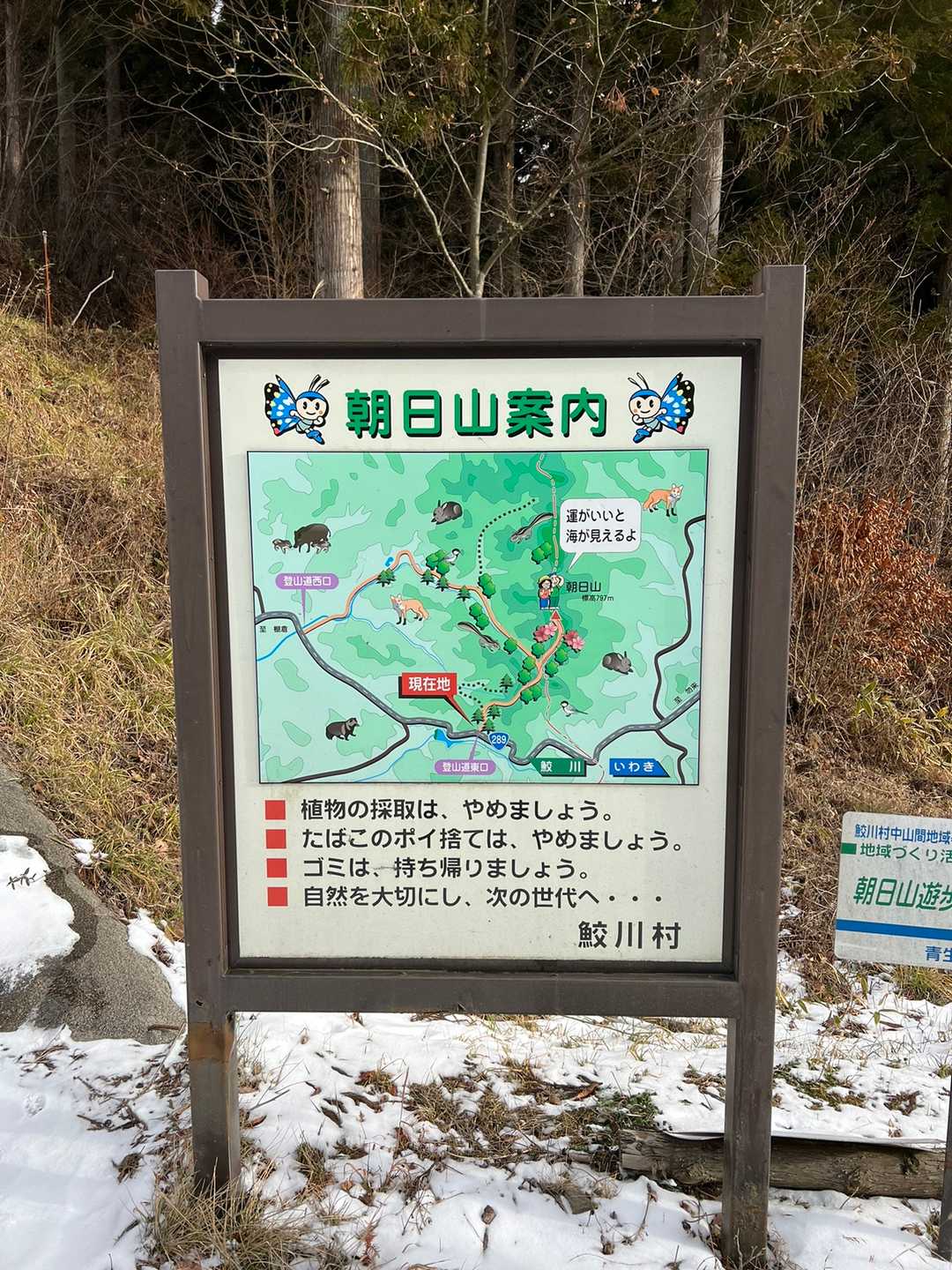 朝日山登山道東入口-朝日山-朝日山登山道西入口 周回コースの写真