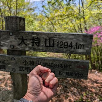 １０個目　大持山　ここで勝利が見えて来ました　何故かこの辺りから元気になりました