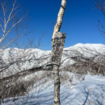 あっという間に山頂
漁岳方面