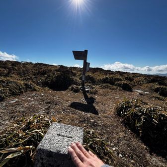 牛の背
さあ引き返すよ。
風が強くてご飯になかなかありつけない💦