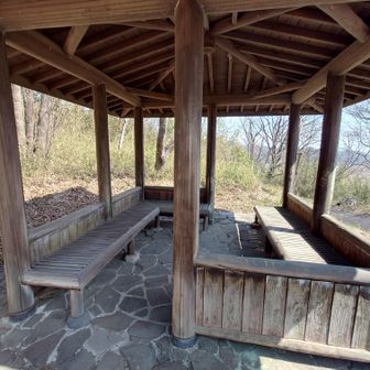 三景平です。
ここは虫が少なかったので休憩することにしました。
三景とは富士山、スカイツリー、筑波山を指すようです。最近付けた名前なんですね😅
残念ながら今日は霞んでいて無景でした。
※筑波山は気付かなかっただけで、見えていたかもしれません。