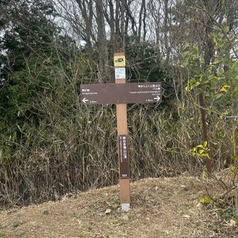 東おたふく山山頂