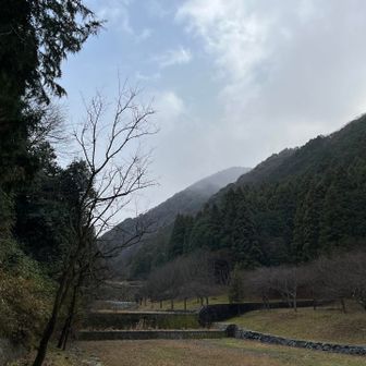 良い登り初めでした