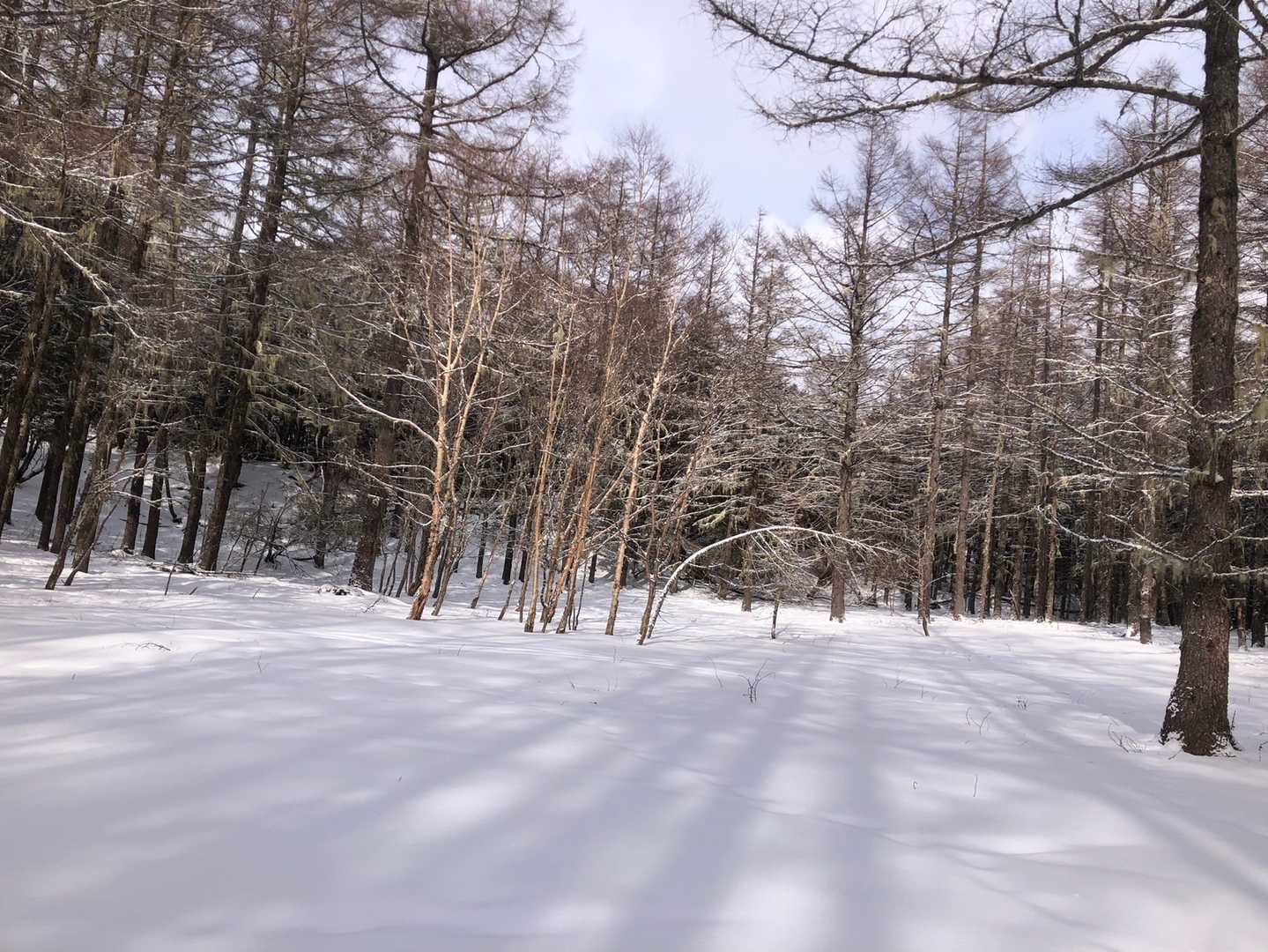 真っ新な雪の広場