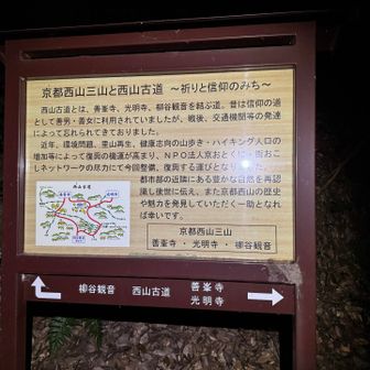 ２つの鹿柵を越えてロードに出ました。西山古道、古道だと？いつかまた明るい時間に通りたい。

先導の人がかなりペース速いのでだいぶ離れてしまったと思われ、ここでまた待ちます。アスファルトに座りこんで10〜15分くらい寝ました。