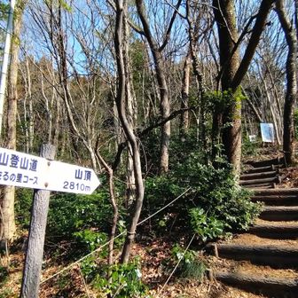 花粉症対策もバッチリ、お出かけする勇気が湧いてきました😂     今日は角田山で騒ぎます🚶
ほたるの里登山口から群馬の山友さん探しに階段を🚶飛ばした…ぜ〜ぜ〜😆