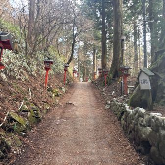 先週は　ツルツルだったのに・・