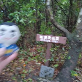 標高点の山頂　ボケてる😢