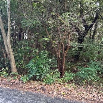 グレーピーク7
相生山52m
駐車場不明、どんぐり広場横に駐車
山頂標識なし、三角点あり