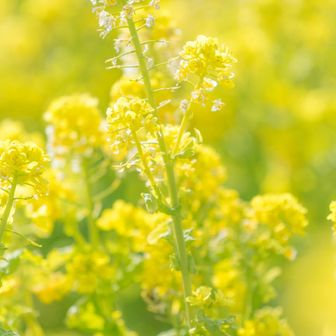 ユーザーまちゃえ