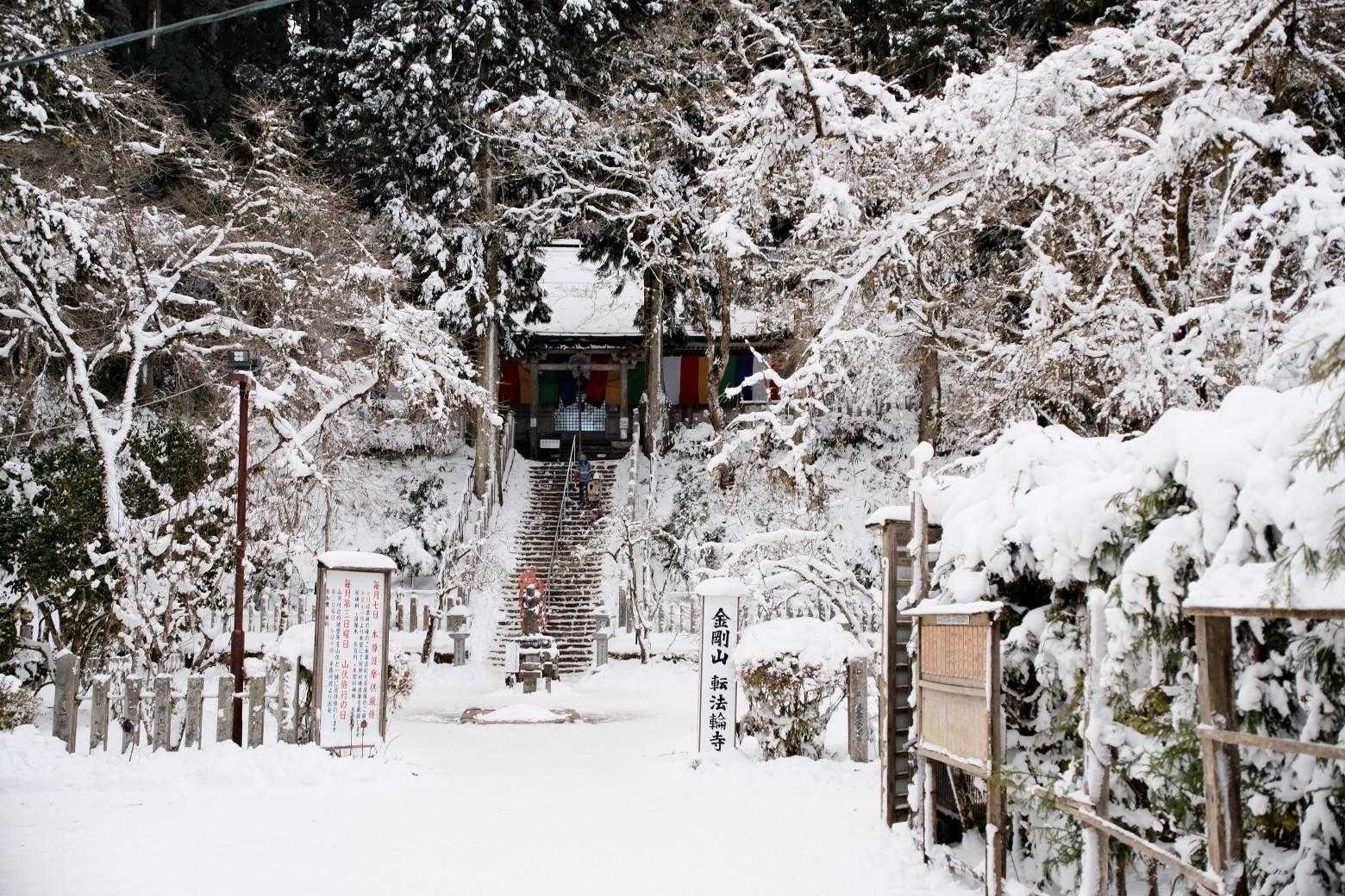 いい雰囲気です