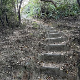 最後の上り🏃‍♂️