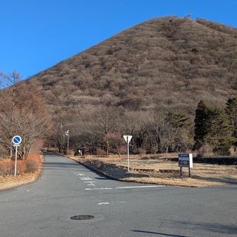 こんな形だったかー！