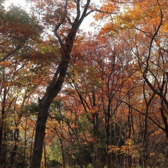 公園の中ですが、ここまで来る人は少なさそう・・