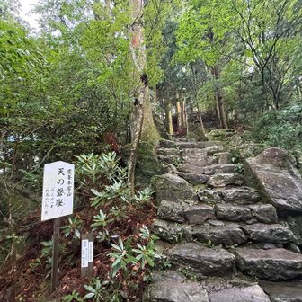 まだですかー
