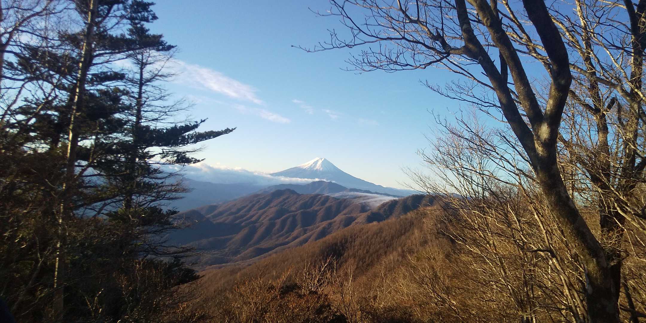 富士山🗻、風が強いので雲☁️が、発生しそう😱
急げ、あざらし💨