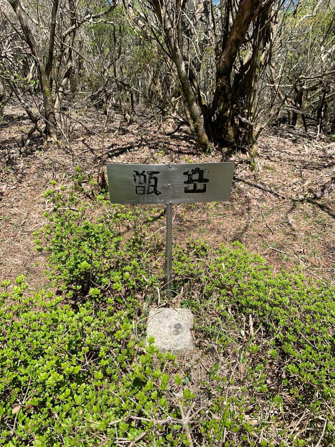 甑岳登山口-甑岳 往復コースの写真