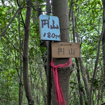 午後になり更に蒸し暑い中、
さらに少し登って🥵
円山⛰️ピークです😊