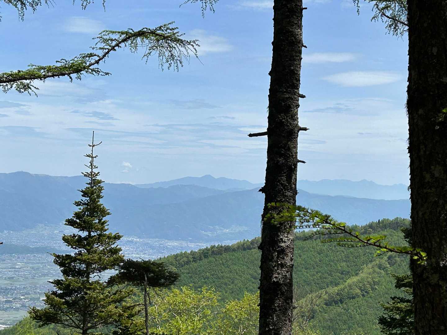 蓼科山が見えました