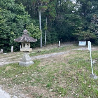 平日昼過ぎなのに適度に人も入ってました