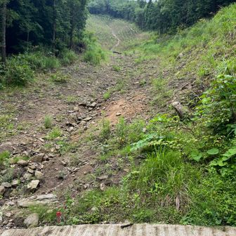 This landslide looks like it was pretty big, and right above the village of Yamba. 😱 
