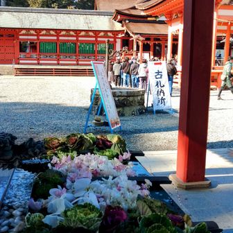 南宮大社に下りてきました。人がいっぱいになっていました。