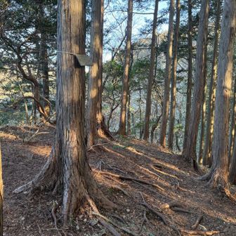 小都津路山（標高770） 通過

手前は少し急登
