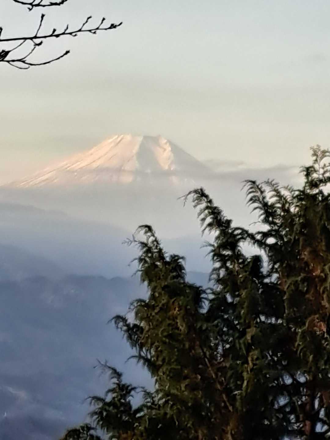 生藤山~陣馬山 周回コースの写真