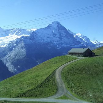 梨みのりサクラ🌸