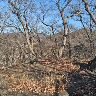 水道山山頂に到着。特に山頂標識などはない