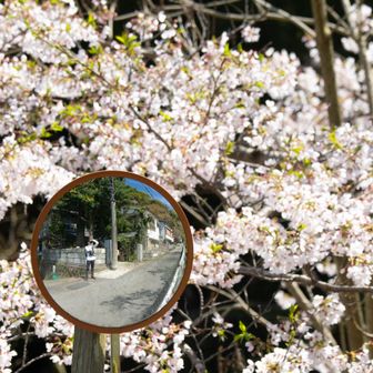 前に、撮ったら自分が写ってたカーブミラー写真
カーブミラー見ると撮りたくなってくるようになって、また📸(笑)
これからの時期の日焼け対策として、SPF50のARC'TERYXの白シャツを買いました。
同じシャツの黒を普段使いしているのですが、めっちゃ着心地が良くて使いやすい☆
(もっと安くして🥲)