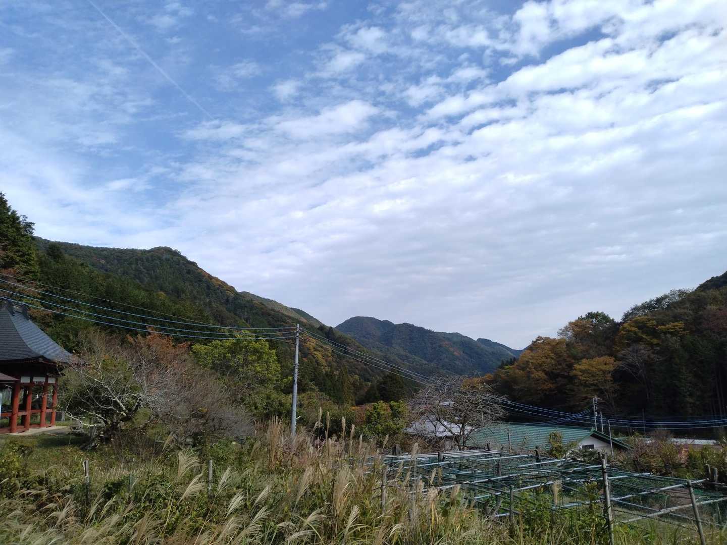のどかで最高