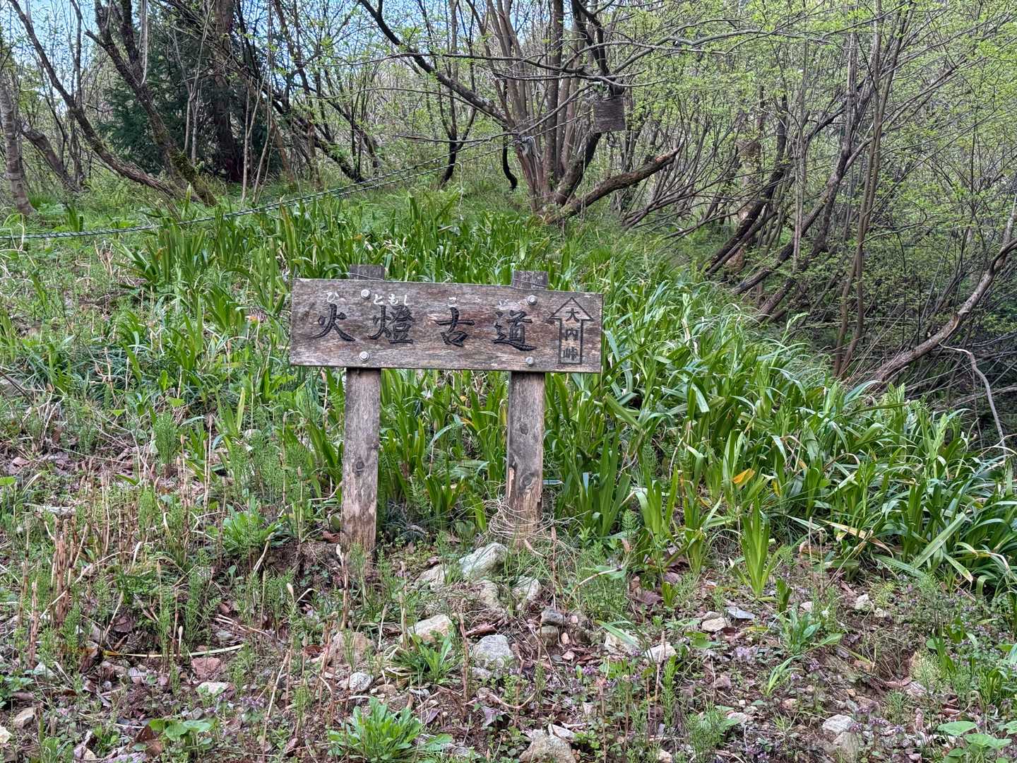 大内峠-熊の平-火燈山 往復コースの写真