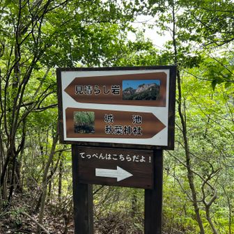 稜線来ました