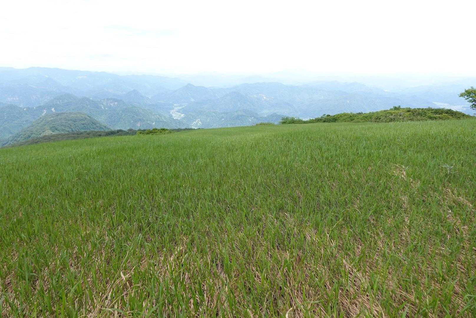 寝転びたくなる草原！
ココは天狗の遊び場👺
