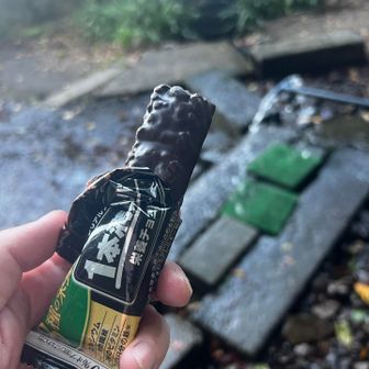 チョコバー食べて、また登るざ⛰️