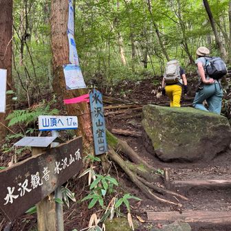 登山口はこちら💁